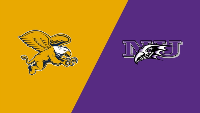 队友得分 队友得分